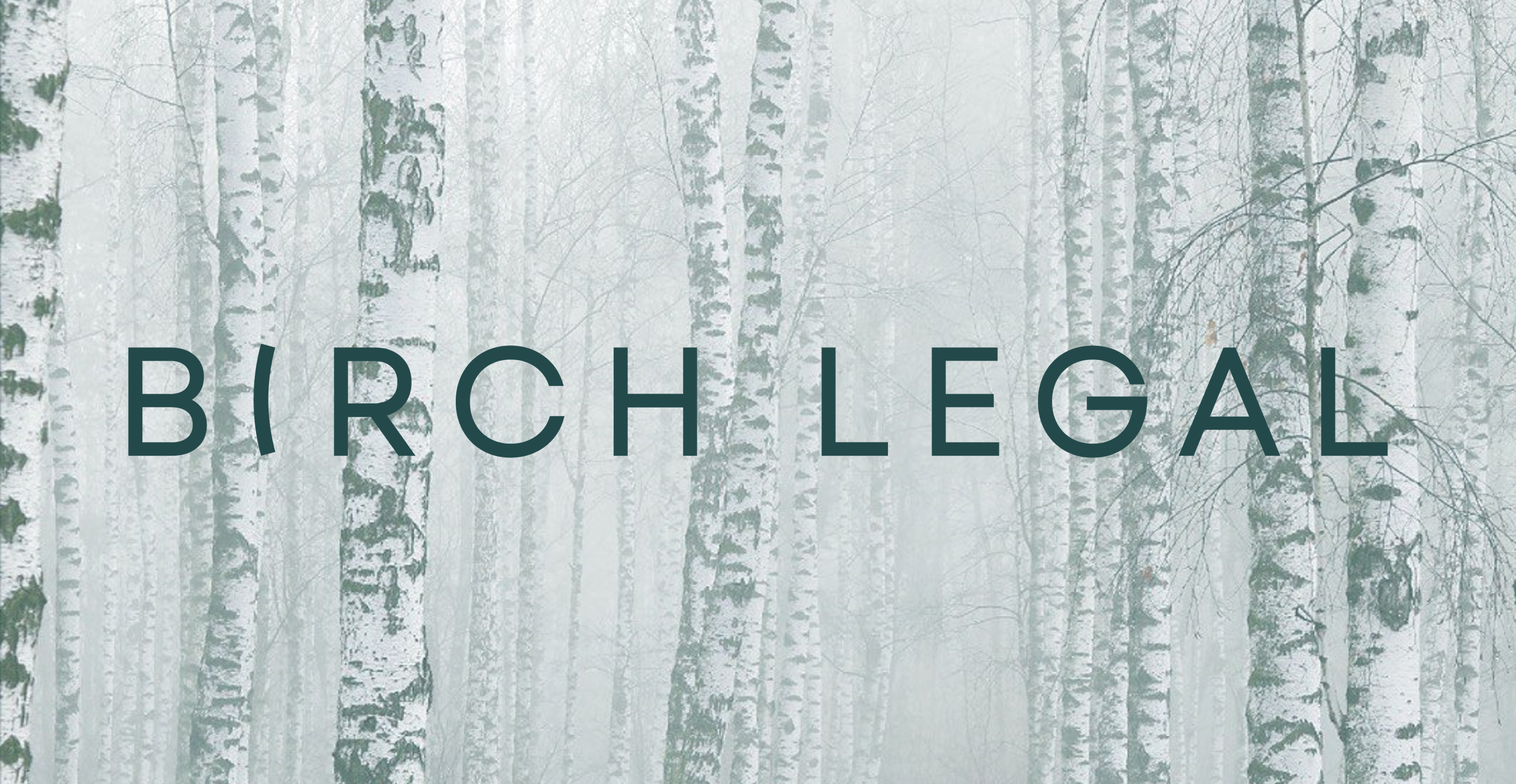 Осень новая коллекция одежда на белом фоне. Birch одежда. Birch одежда. Текстура березы. Birch legal.